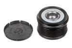 PULEGGIA ALTERNATORE Citroen FIAT FORD LANCIA LAND ROVER MINI PEUGEOT VOLVO HDI JTD TDCI COOPER D